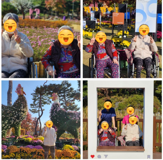지역사회행사참여(유림공원국화축제-2024.11.01)